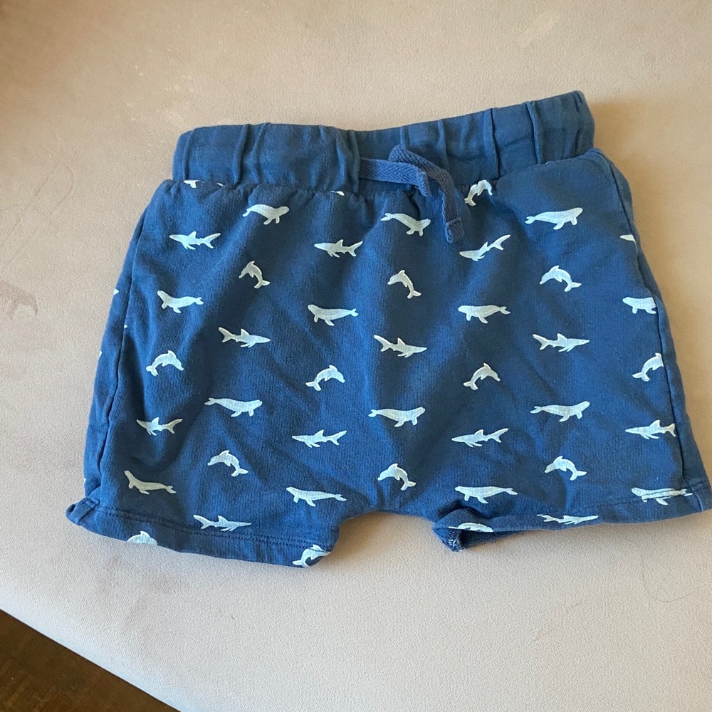 Nordstrom Shark Print Kids Shorts 12 mos